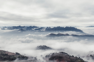 crop face woman center