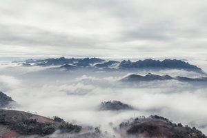 crop face woman center