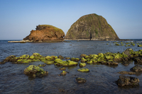 island entropy area